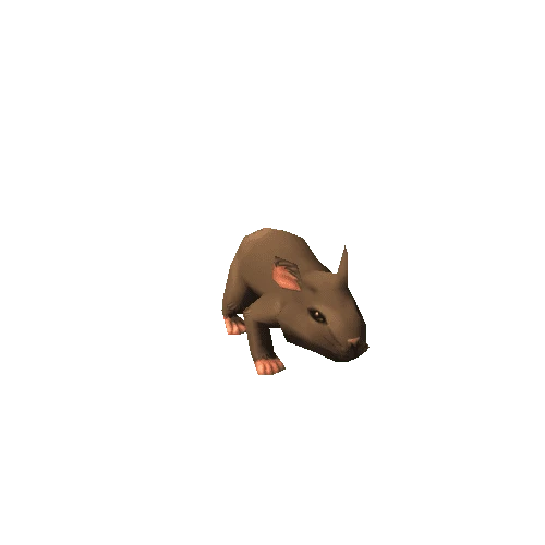 Rat Bege